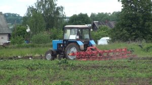 МТЗ 82.1 культивация междурядьев кукурузы
