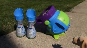 Crayola Outdoor Colored Bubbles Machine!