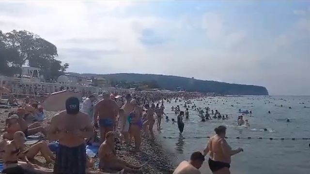 ДИВНОМОРСКОЕ? НА ПЛЯЖЕ ⛱️#дивноморское #черноеморе #дивноморск смотреть онлайн