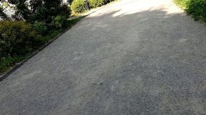 VID_20230612_151910.mp4