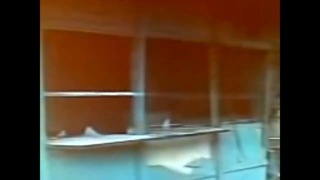 ТАКОГО НЕ ПОКАЖУТ НА ТВ!! ОЧЕНЬ ТАЙНЫЕ ВИДЕО ИЗ 90-Х! смотреть онлайн