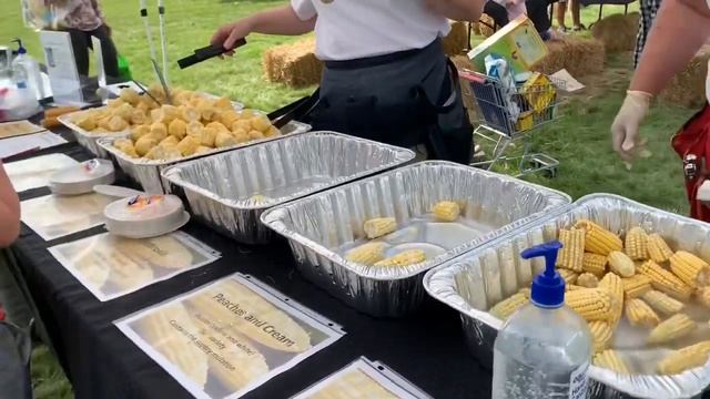 Дыра в животе коровы- видео жуть. Поездка в исследовательский центр. Видео для детей смотреть онлайн