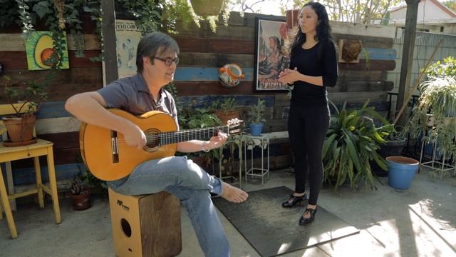 Bulerias llamada starts on 1 - Flamenco Explained смотреть онлайн