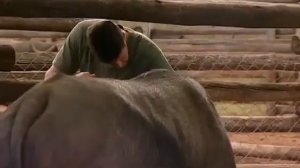 Живая Африка