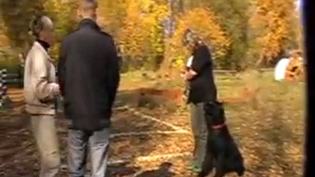 окд Риза 2ч смотреть онлайн