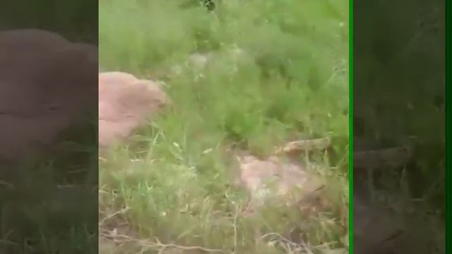 Рыбалка на реке Реж смотреть онлайн