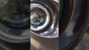 Линзованные птф ford fiesta 6