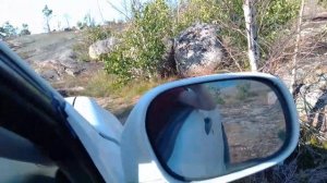 Ниссан Патрол и Сузуки эскудо подъем в скалу#патруль#эскудо#скала#бездорожье