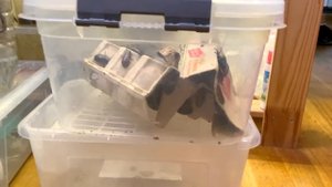 ПЕСЧАНАЯ МУРАВЬИНАЯ ФЕРМА, КАК ПОЖИВАЮТ ЖНЕЦЫ И ДРУГИЕ МУРАВЬИНЫЕ НОВОСТИ \\ ВЛОГ \\ Димон и пумба