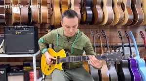 Stagg SVY NASHDLX FSB обзор гитары