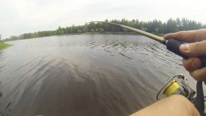 Рыбалка в Сургуте