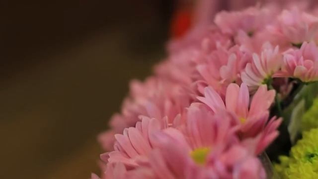 Какие цветы можно дарить женщинам на 8 марта: советы флористов смотреть онлайн