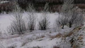 Зимняя рыбалка и разведка на мотособаке