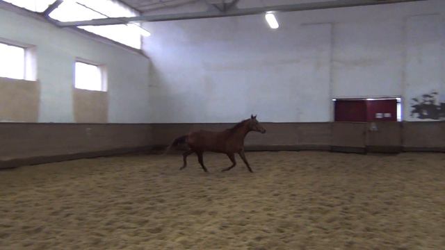 Чифа смотреть онлайн