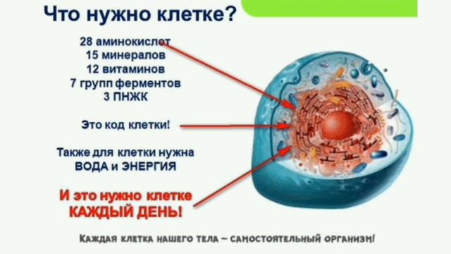 Нано продукт - Клеточное Питание