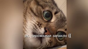 Поднимаем настроение
