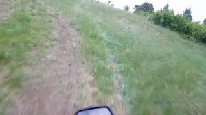 Suzuki Wolf 50 Катаюсь по лесу на японском мопеде