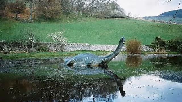 Шутка Муз испр Майоров Сергей, стихи и видеоряд Виталий Ворон смотреть онлайн