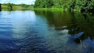 ЛОДОЧНЫЙ МОТОР ИЗ ГИРОСКУТЕРА !!)bldc мотор быстрый экономичный реально своими руками #DIV
