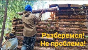 Дофига дел, на один ДЕНЬ! Успеваем всё и в лесу и дома. How I build a house in the forest alone