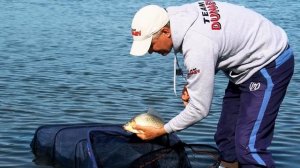 Ловля речного сазана на фидер в мае