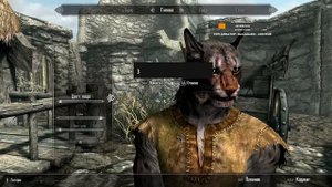 Прохождение Skyrim. Скайрим прохождение с нуля. ЧАСТЬ 1