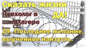 29. Последнее желание, выученное наизусть. Сказать жизни „Да!“: Психолог в концлагере» Виктор Франкл