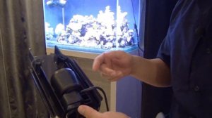 Fluval SEA PS1 Protein Skimmer for Saltwater Aquariums