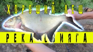 Рыбалка в Татарстане - река Свияга! Вода уже не та!