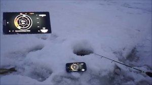 Deeper FishFinder. Работа эхолота зимой. Режим подледной ловли.