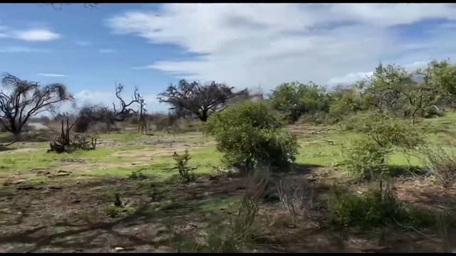 Сафари в Африке. Танзания озеро Маньяра. смотреть онлайн