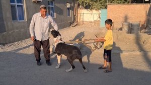 Гарагуш в гостях у Ата Бахарден Туркменистан!