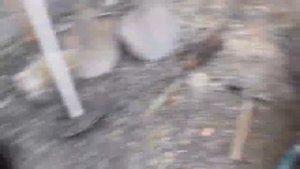 Навес для авто на сваях . И деревянных столбах своими руками.