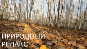 Природный релакс, смотреть на большом экране