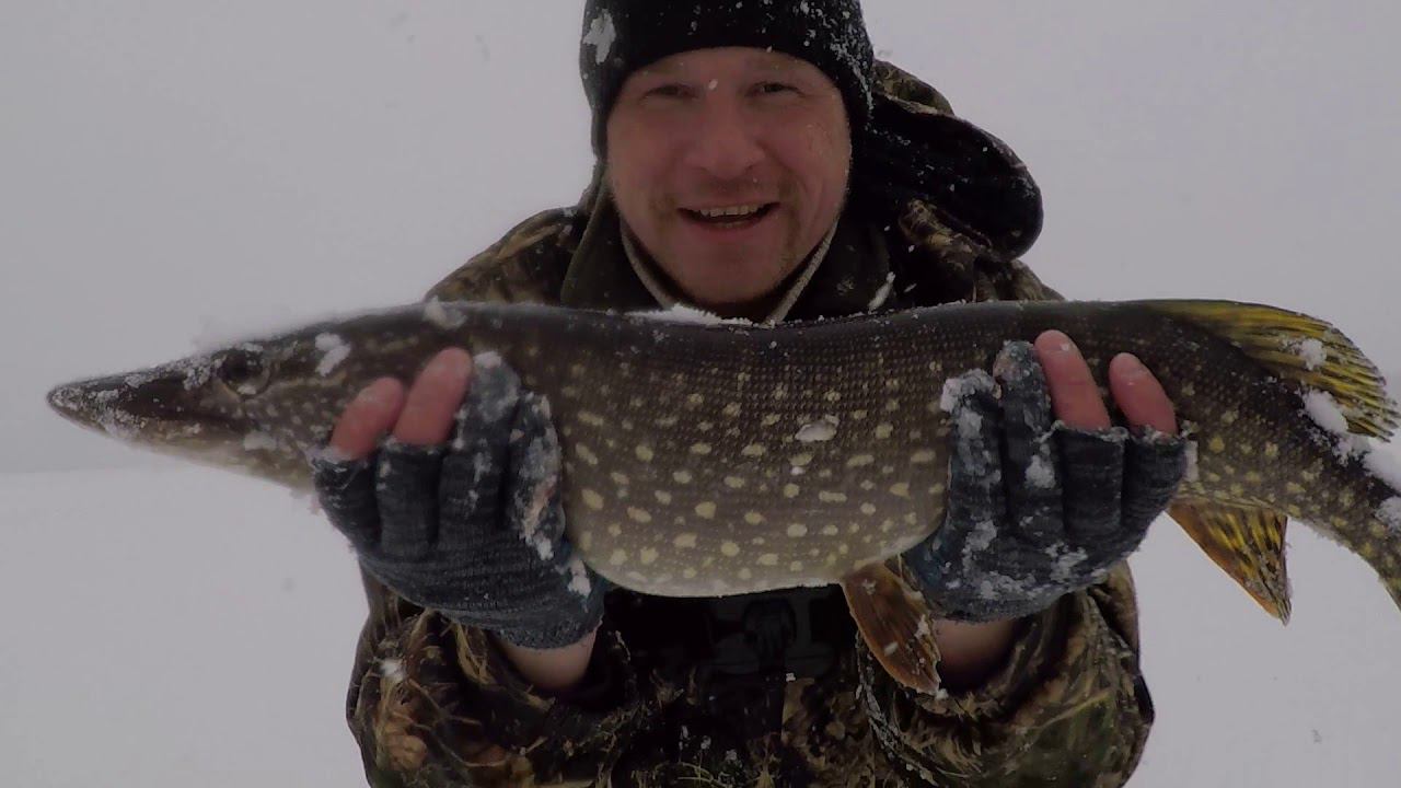 Ловля ПЛОТВЫ на РЕКЕ ЧЕРЕМШАН | Побил РЕКОРД по ЖЕРЛИЦАМ | ЗИМНЯЯ РЫБАЛКА смотреть онлайн