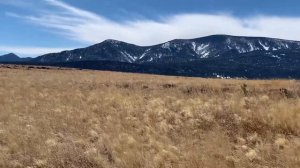 State New Mexico 🇺🇸in a mountains of 8000 feet. Штат Новая Мексика , в горах 2438.4 метров .