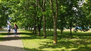 Подарок от выпускников 2020 года для учителей ГУО "Средняя школа №54 г. Минска"