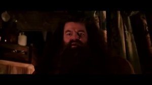 Гарри Поттер 2|rytp