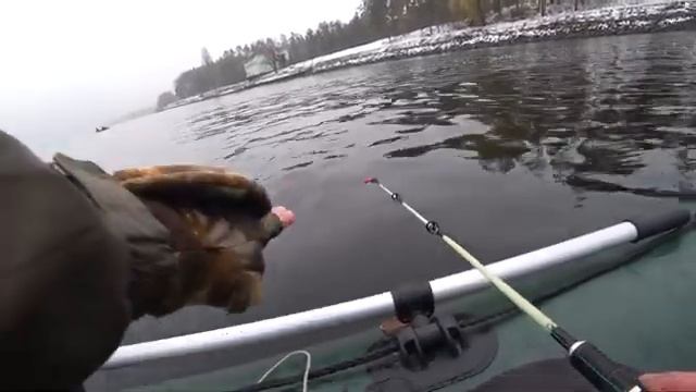 Ловля СУДАКА на БАЛАНСИР ЗИМОЙ в ОТВЕС с ЛОДКИ смотреть онлайн