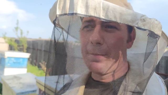 Карника бакфаст или карпатка есть ли разница забрал корма из гнезда пчёлы голодают или нет ☝️?✅ смотреть онлайн