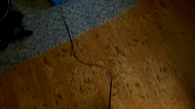 Zelmer Twister Future 1500 смотреть онлайн