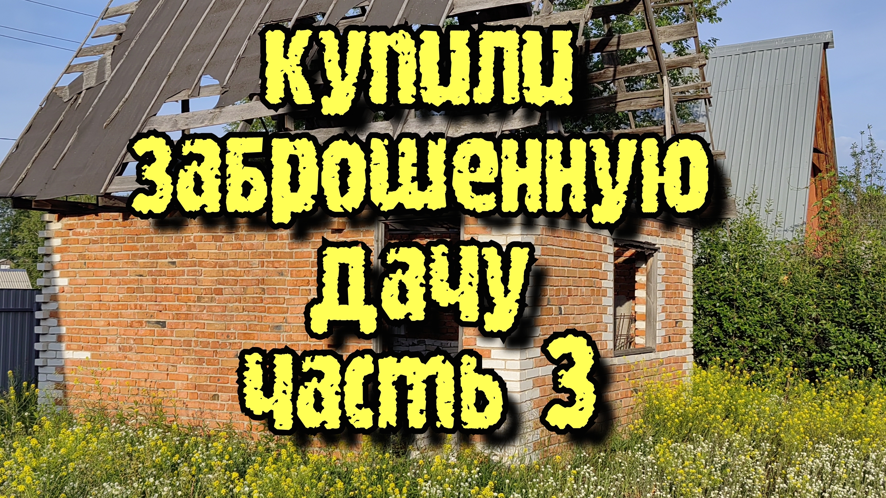 Купили заброшенную дачу.