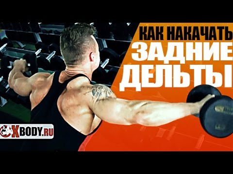 Упражнения на плечи. Как накачать задние дельты?