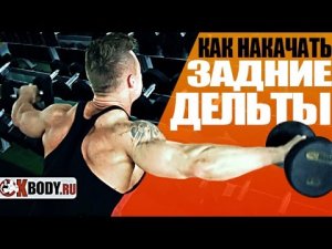 Упражнения на плечи. Как накачать задние дельты?