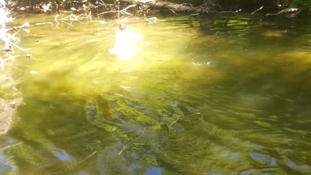 Ловля головля на перетяжку смотреть онлайн