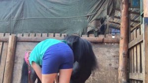 Своя лошадь?/Едем выбирать свою лошадь!/Влог с конюшни❤️