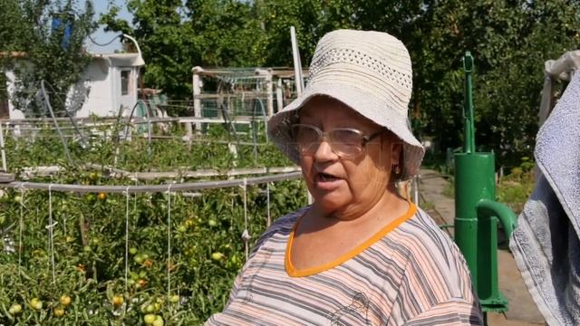 Томатная минирующая моль и белокрылка атаковали сады Зеленхоза в Орске 2 смотреть онлайн