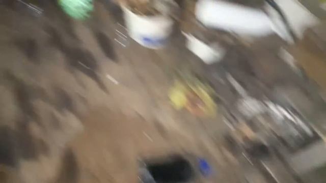 Замена ЭГУР на Форд Фокус С-Макс смотреть онлайн