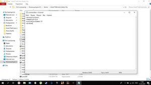 Что делать, если гта 4 зависает во время вступления. Windows 10.