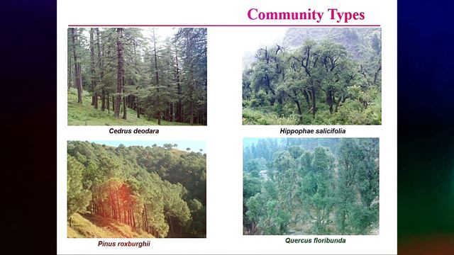 Biodiversity_its_meaning_&_importance II смотреть онлайн
